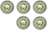 Oljeavtappningsskruvar | för BGS 126 | M20 x 1,5 mm | 5 delar. BGS 126-SM20