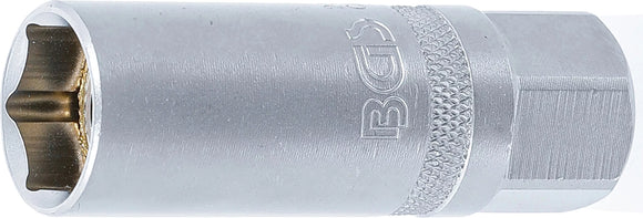 Tändstift-Insats med Magnet, Sexkant | 10 mm (3/8