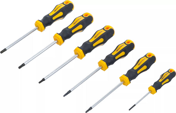 Skruvmejsel-sats | T-Profil (för Torx) T10 - T30 | 6 delar. BGS Diy 35826