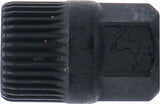 33-kuggars överdel | yttre sexkantsfäste | för BGS 4248 | 17 mm. BGS 4248-4