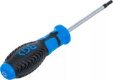 Skruvmejsel | T-Profil (för Torx) T20 | Klinglängd 80 mm. BGS 4919