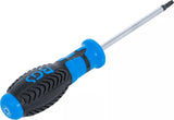Skruvmejsel | T-Profil (för Torx) T25 | Klinglängd 100 mm. BGS 4920