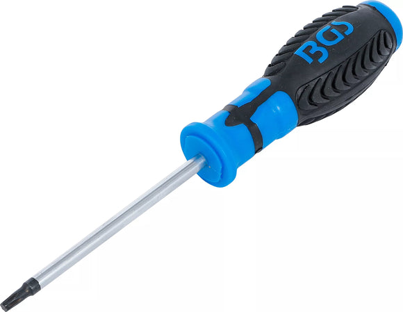 Skruvmejsel | T-Profil (för Torx) T25 | Klinglängd 100 mm. BGS 4920