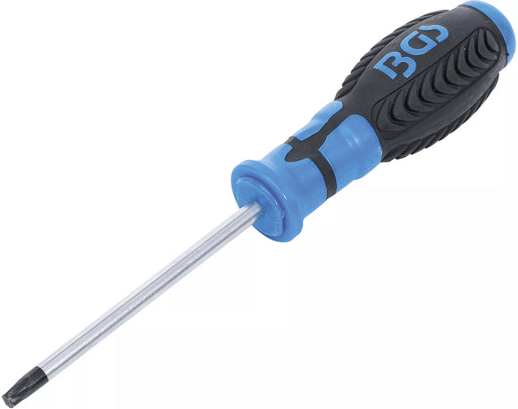 Skruvmejsel | T-Profil (för Torx) T30 | Klinglängd 100 mm. BGS 4922