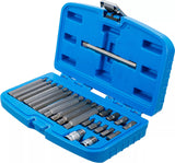 Bit-sats | Yttre sexkant 10 mm (3/8") | Kil-profil (för Ribe) | 22 delar. BGS 5013