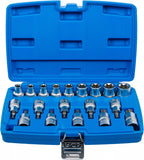 Bit-Insats-/Hylsa-sats | 12,5 mm (1/2") | E-Profil / T-Profil (för Torx) | 19 delar. BGS 5100
