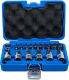 Bit- och Bit-Insats-sats | 12,5 mm (1/2") | T-Profil (för Torx) | 27 delar. BGS 5101
