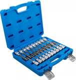 Bit-Insats-sats | 12,5 mm (1/2") | Inre sexkant, T-Profil (för Torx), inre mångtandad (för XZN) med kulända | 20 delar. BGS 5170