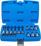 Bit-Insats-sats | 6,3 mm (1/4") / 12,5 mm (1/2") | Inre sexkant | 18 delar. BGS 5171