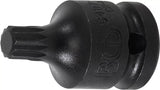 Kraft-Bit-Insats | Längd 43 mm | 12,5 mm (1/2") | Inre mångtandad (för XZN) M10. BGS 5487-M10