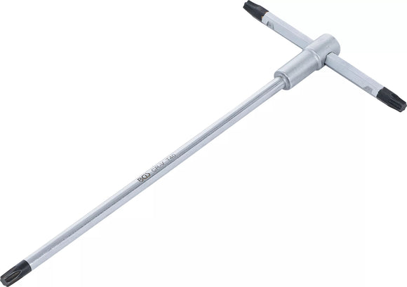 Skruvmejsel med T-glidhandtag | T-Profil (för Torx) | T40