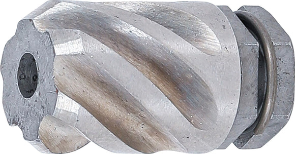 Brotsch | för BGS 65520 | Ø 18 mm, Längd 23 mm. BGS 65522