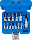 Bit-Insats-sats | 6,3 mm (1/4") / 10 mm (3/8") / 12,5 mm (1/2") | Inre sexkant 2 - 14 mm | 13 delar. BGS 74257