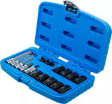 Bromsok-hylsnyckel- och Bit-Insats-sats | 17 delar. BGS 74283