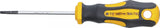 Skruvmejsel | T-Profil (för Torx) T10 | Klinglängd 60 mm. BGS Diy 7844-T10