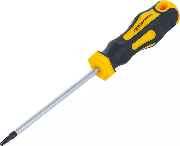 Skruvmejsel | T-Profil (för Torx) T15 | Klinglängd 100 mm. BGS Diy 7844-T15