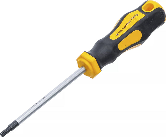 Skruvmejsel | T-Profil (för Torx) T25 | Klinglängd 100 mm. BGS Diy 7844-T25