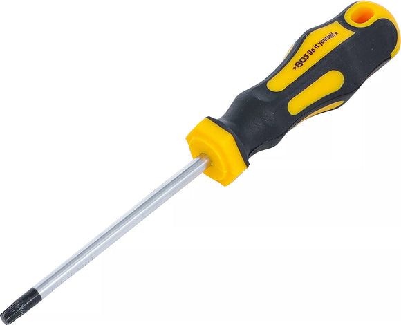 Skruvmejsel | T-Profil (för Torx) T30 | Klinglängd 100 mm. BGS Diy 7844-T30