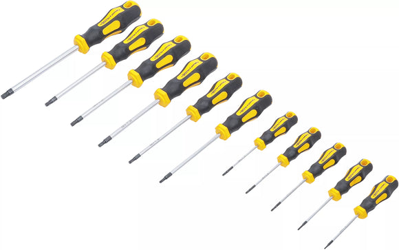 Skruvmejsel-sats | T-Profil (för Torx) T6 - T40 | 11 delar. BGS Diy 7844