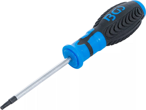 Skruvmejsel | T-Profil (för Torx) med borrning T20 | Klinglängd 80 mm. BGS 7849-T20