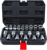 Bit-Insats-/hylsnyckel-sats | Inre sexkant 12,5 mm (1/2") | T-Profil (för Torx) / E-Profil | 19 delar. BGS Diy 95100