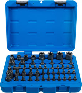 Sats med bits-insatser och hylsnyckelinsatser | E-profil / T-profil (för Torx) / T-profil (för Torx) med borrhål / TP-profil (för Torx Plus) | 52 delar. BGS 9839